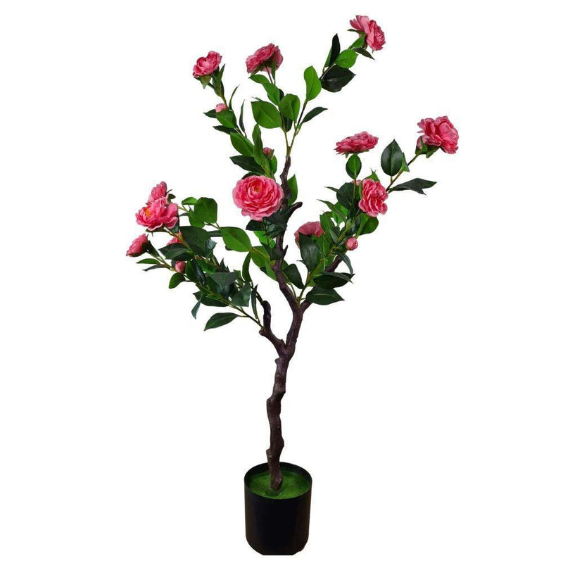 Flowering Natural Pink Artificial Camellia Tree 100cm - John Cootes