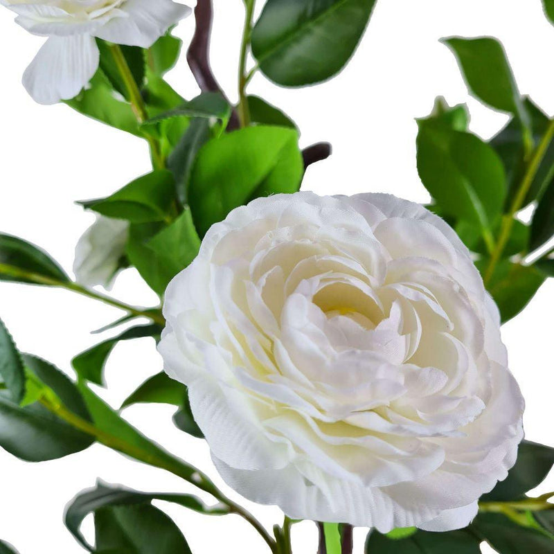 Flowering Natural White Artificial Camellia Tree 100cm - John Cootes