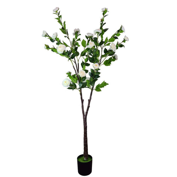 Flowering Natural White Artificial Camellia Tree 180cm - John Cootes