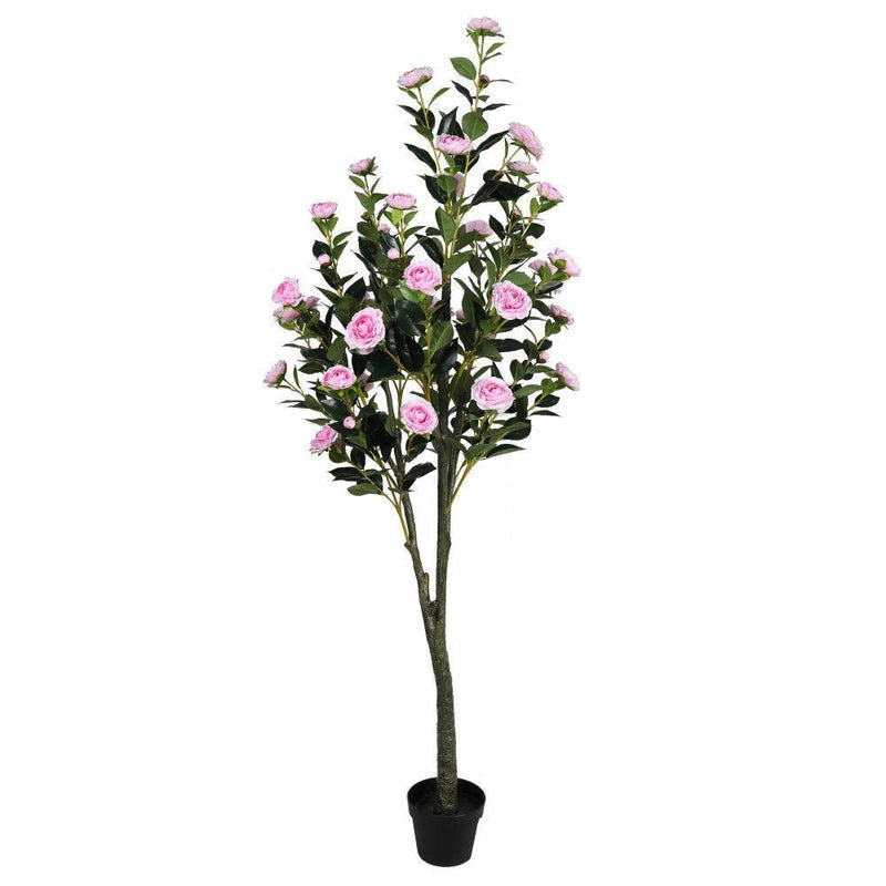 Flowering Pink Artificial Camellia Tree 180cm - John Cootes