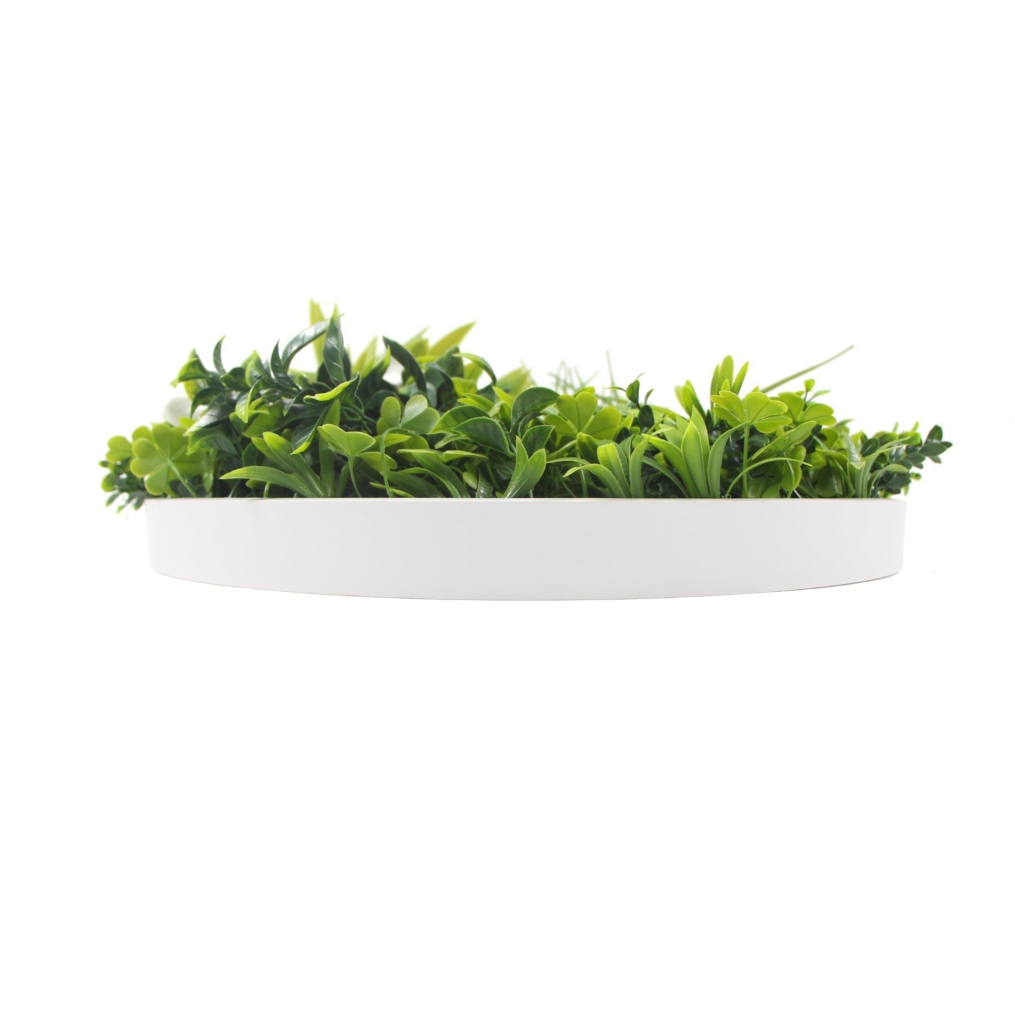 Flowering White Artificial Green Wall Disc UV Resistant 100cm (White Frame) - John Cootes