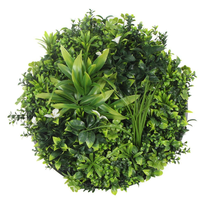 Flowering White Artificial Green Wall Disc UV Resistant 50cm (Black Frame) - John Cootes