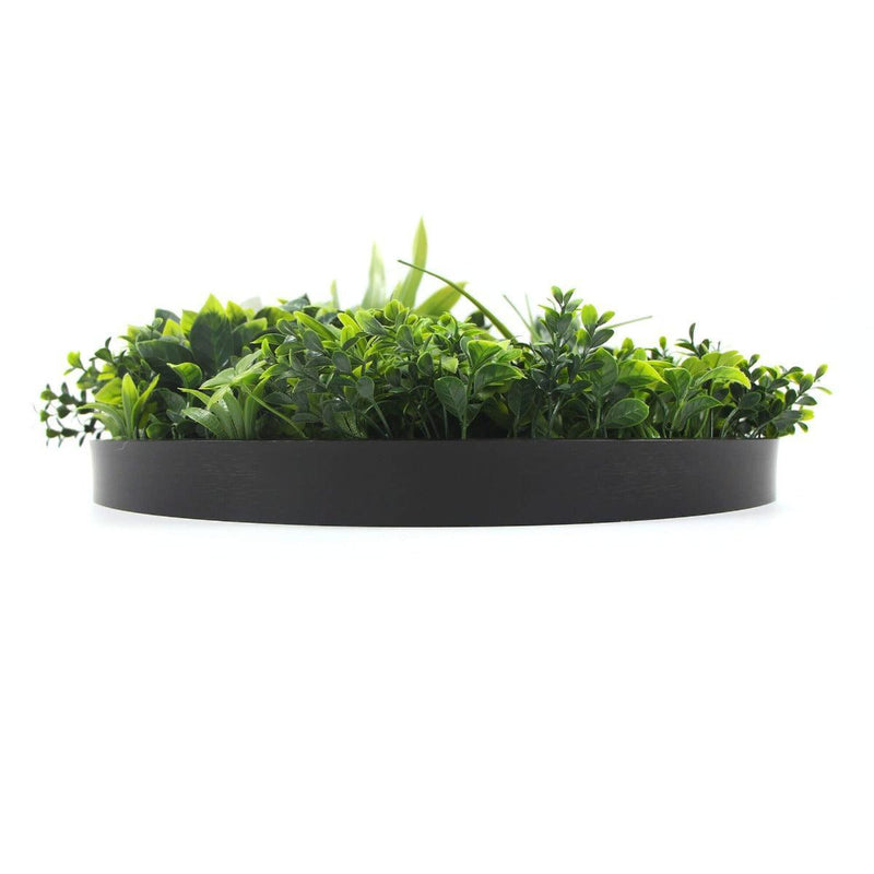 Flowering White Artificial Green Wall Disc UV Resistant 50cm (Black Frame) - John Cootes