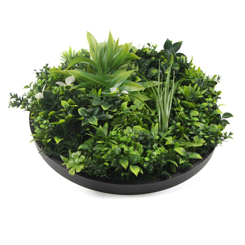 Flowering White Artificial Green Wall Disc UV Resistant 50cm (Black Frame) - John Cootes