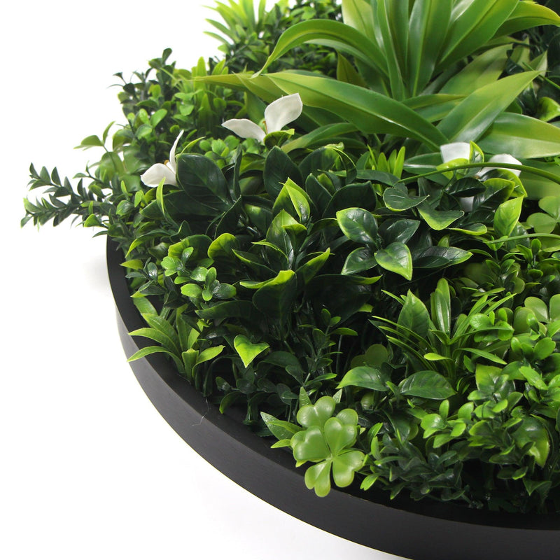 Flowering White Artificial Green Wall Disc UV Resistant 75cm (Black Frame) - John Cootes