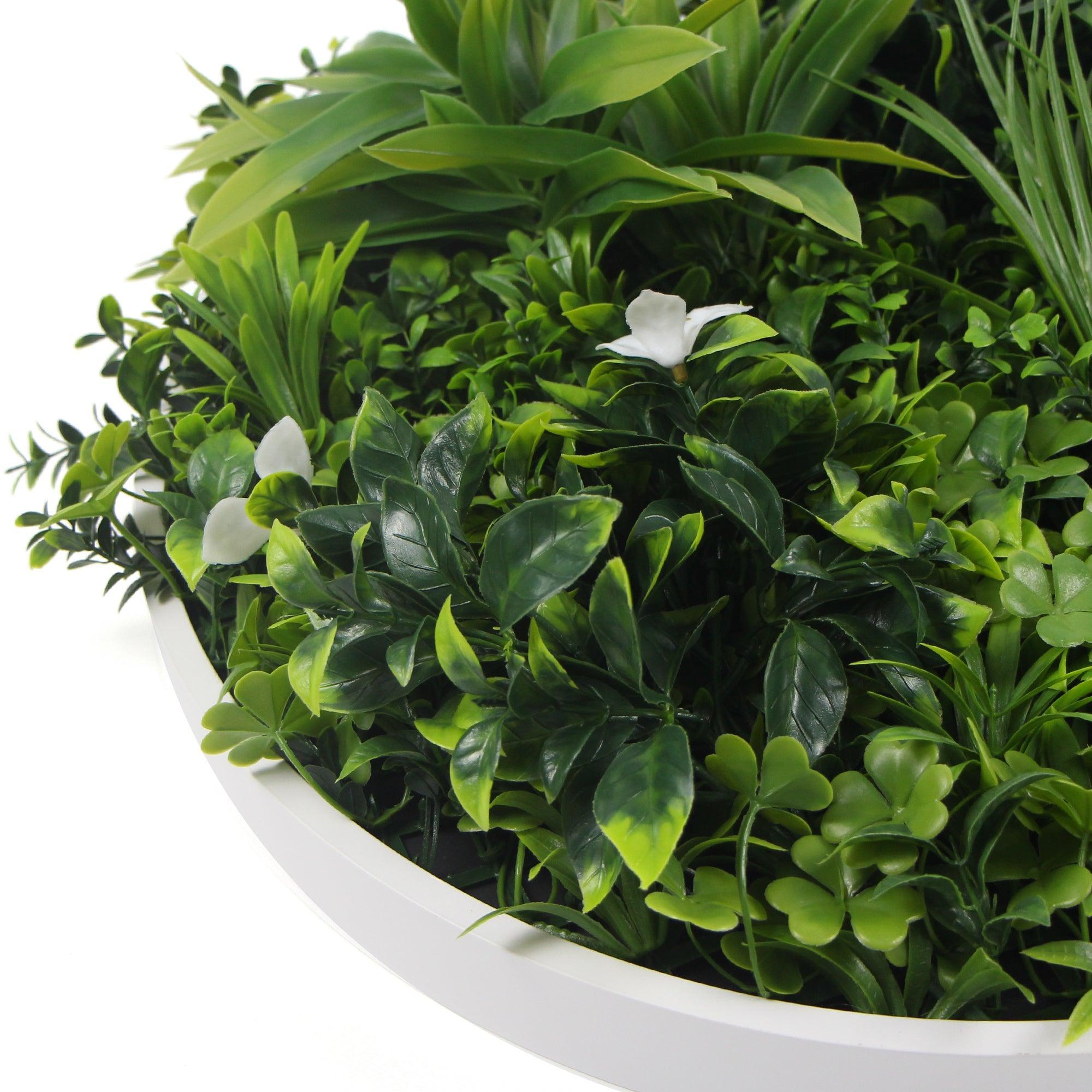 Flowering White Artificial Green Wall Disc UV Resistant 75cm (White Frame) - John Cootes