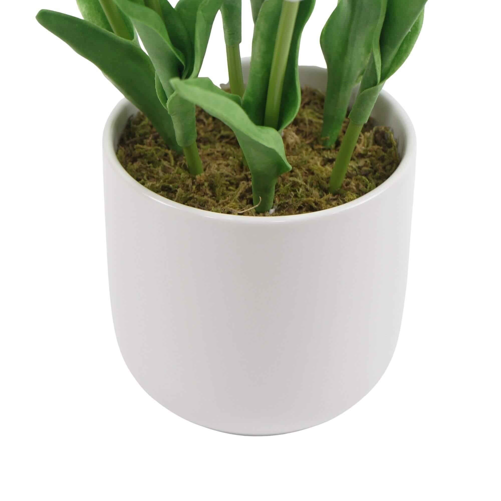 Flowering White Artificial Tulip Plant Arrangement With Ceramic Bowl 35cm - John Cootes