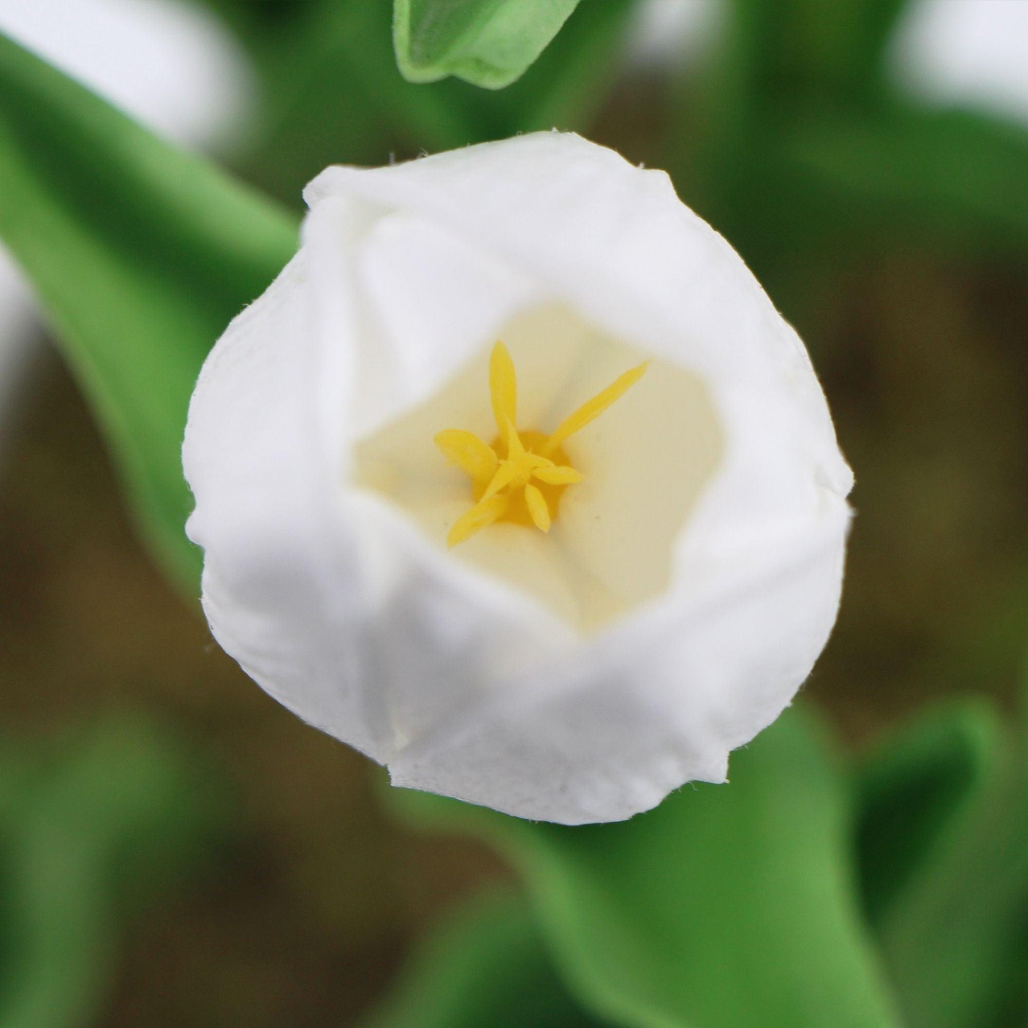 Flowering White Artificial Tulip Plant Arrangement With Ceramic Bowl 35cm - John Cootes