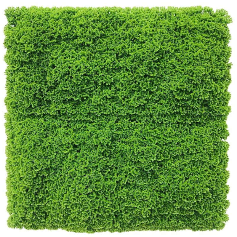 Fresh Natural Green Artificial Moss / Green Wall UV Resistant 1m x 1m - John Cootes