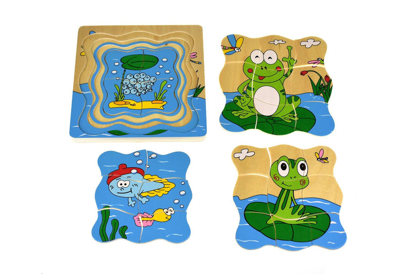 FROG LIFECYCLE 4 LAYERS PUZZLE BOARD - John Cootes