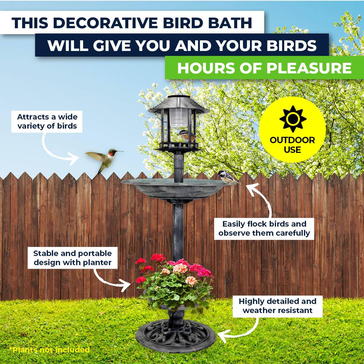 Garden Greens 1M Bird Bath Solar Power With Feeding Station and Lights - John Cootes