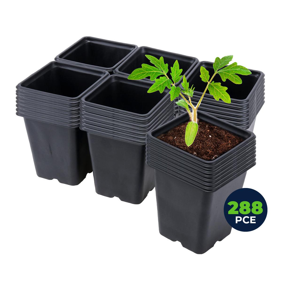 Garden Greens 288PCE Planter Seedling Pot Square Reusable Durable 11cm x 12cm - John Cootes