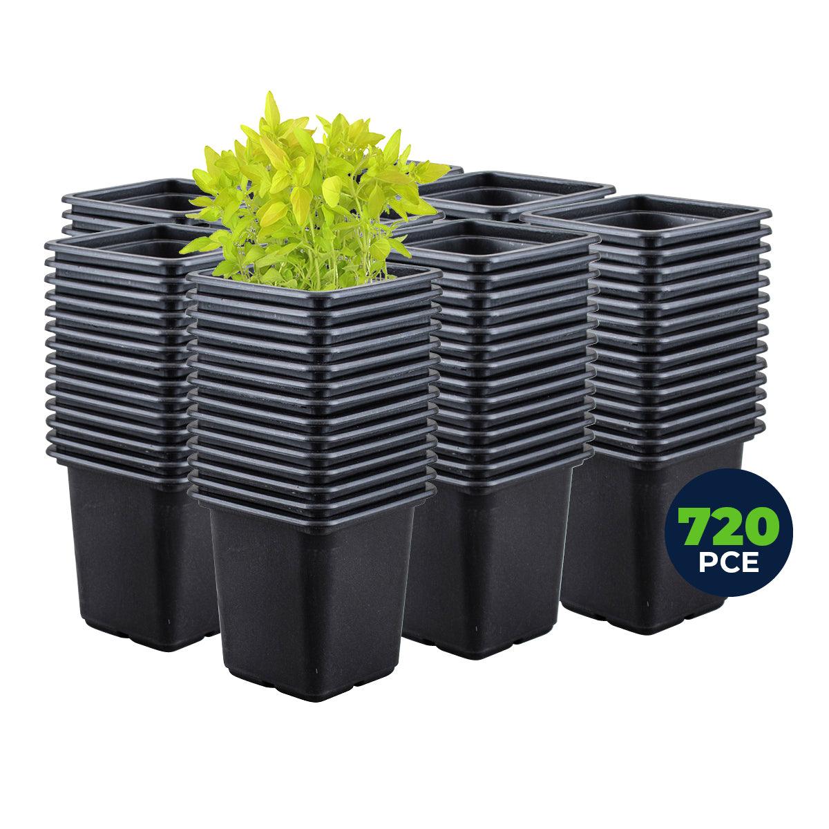 Garden Greens 720PCE Seedling Pots Plastic Square Reusable Durable 7.7 x 8cm - John Cootes