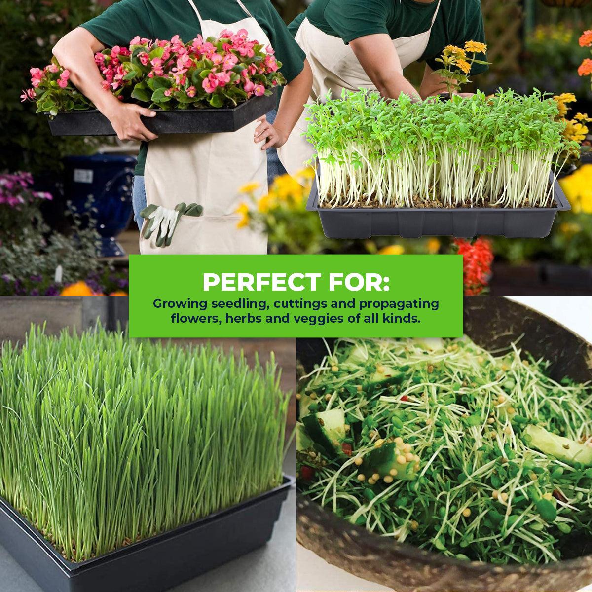 Garden Greens 72PCE Seedling Trays Lightweight Durable Reusable 24 x 35.5cm - John Cootes