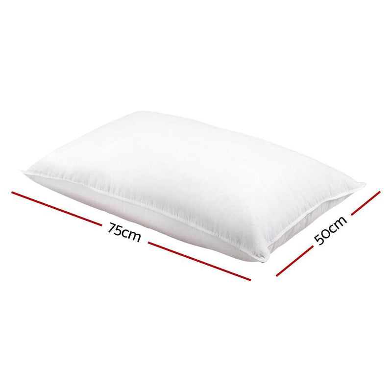 Giselle Bedding Set of 2 Goose Feather and Down Pillow - White - John Cootes