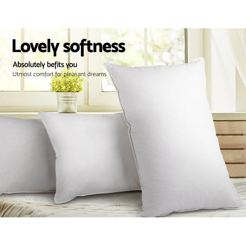 Giselle Bedding Set of 2 Goose Feather and Down Pillow - White - John Cootes