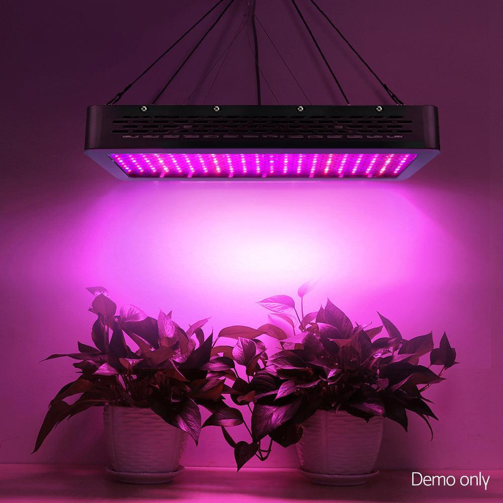 Green Fingers 2000W LED Grow Light Full Spectrum - John Cootes