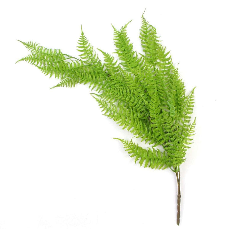 Hanging Fresh Green Boston Fern UV Resistant 80cm - John Cootes