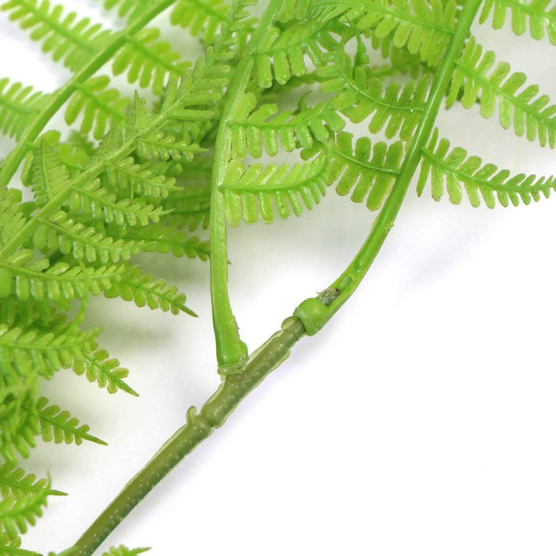 Hanging Fresh Green Boston Fern UV Resistant 80cm - John Cootes