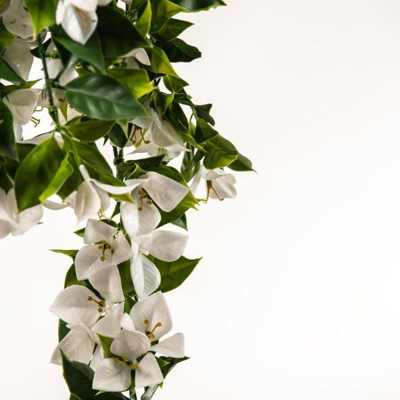Hanging White Artificial Bougainvillea Plant UV Resistant 90cm - John Cootes