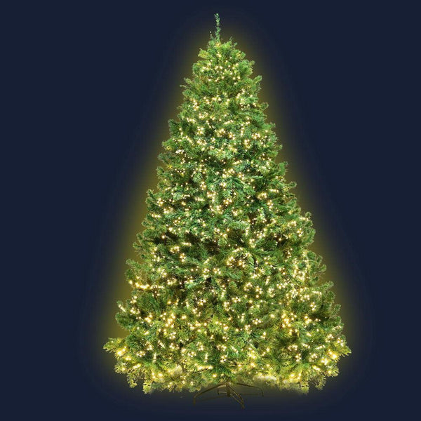 Jingle Jollys 1.8M 6FT Christmas Tree Xmas 1980 LED Lights Warm White 765 Tips - John Cootes