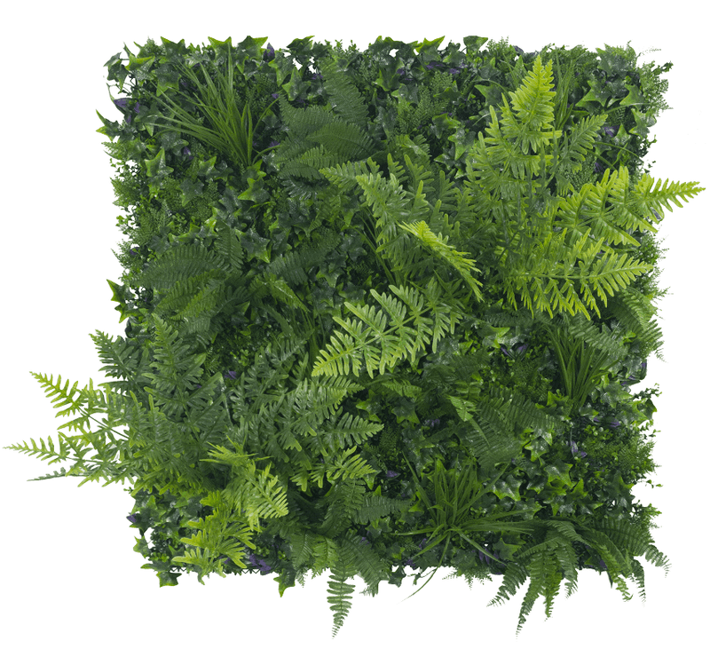 Jungle Fern Vertical Garden / Green Wall UV Resistant 1m x 1m - John Cootes