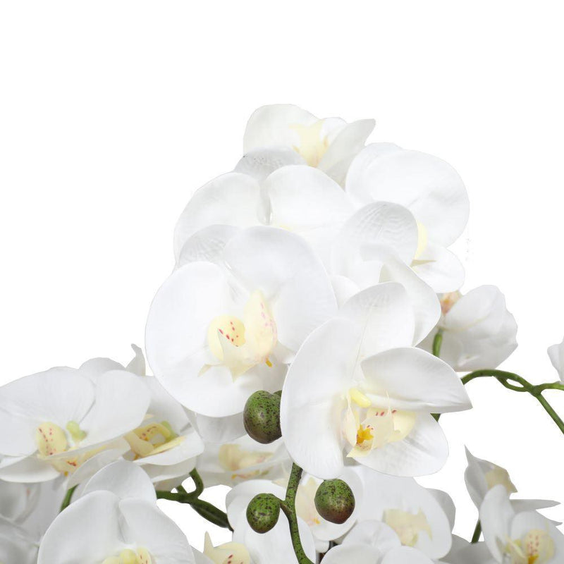 Large Multi-Stem White Potted Faux Orchid 65cm - John Cootes