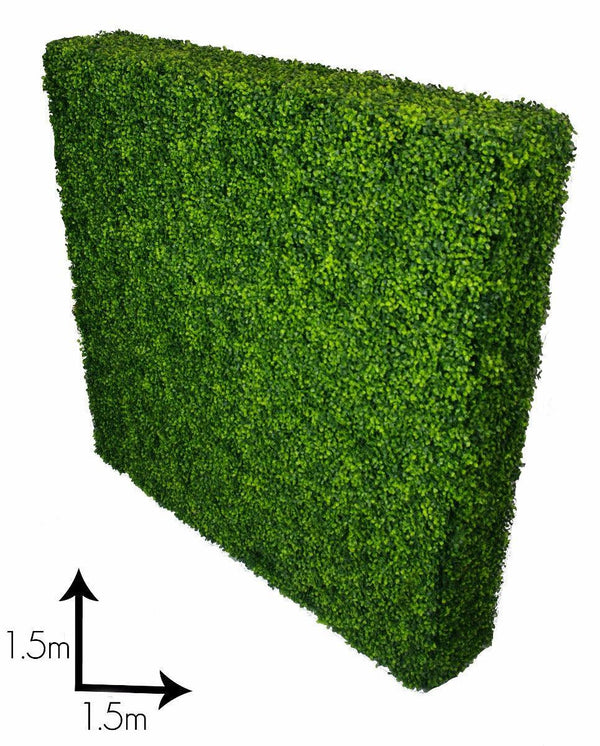 Large Portable Boxwood Hedges UV Stabilised 1.5m By 1.5m - John Cootes