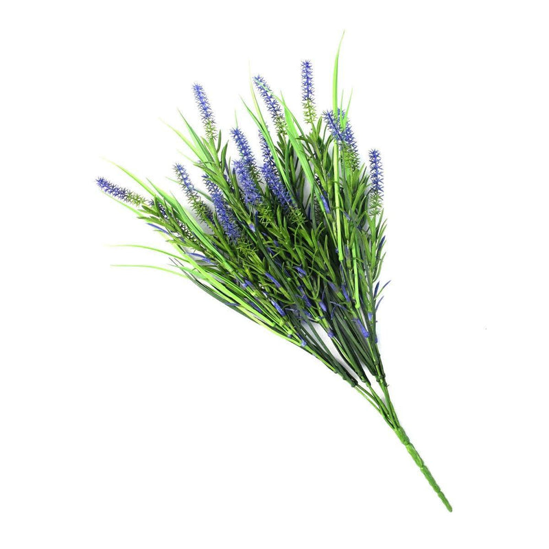 Long Stem Purple Lavender Plant 50cm UV Resistant - John Cootes