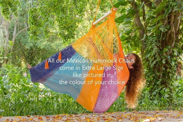 Mexican Hammock Swing Chair Rainbow - John Cootes