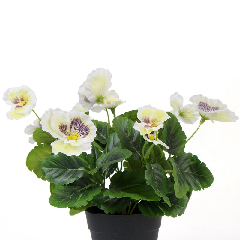 Mixed White Flowering Potted Artificial Pansy Plants 25cm - John Cootes