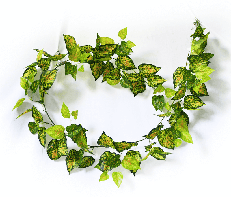 Mixed Yellow and Red Pothos Garland 190cm - John Cootes