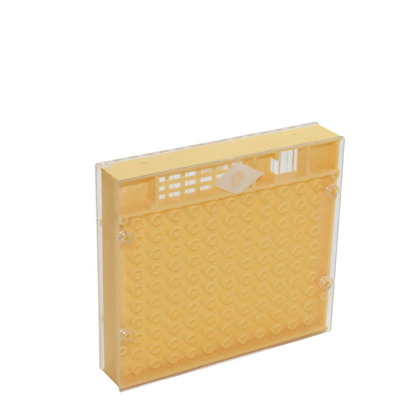 Nicot Queen Bee Rearing System Kit - Basic No Graft Jenter Starter Beekeeping - John Cootes