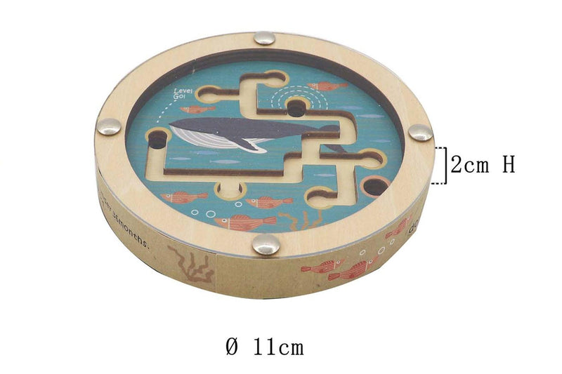 OCEAN MAZE IN DISC DOUBLE SIDED - John Cootes