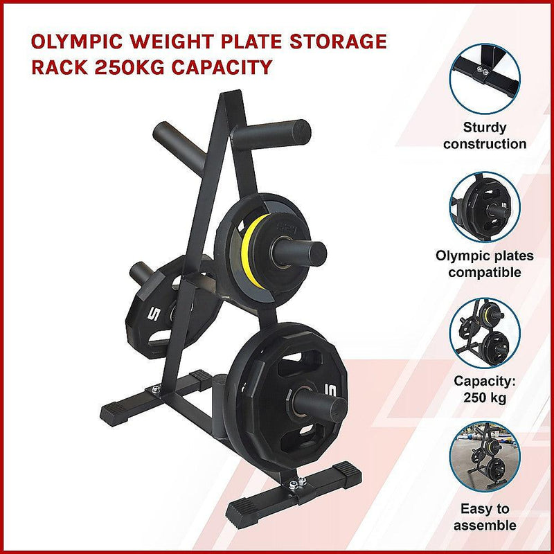 Olympic Weight Plate Storage Rack 250kg Capacity - John Cootes