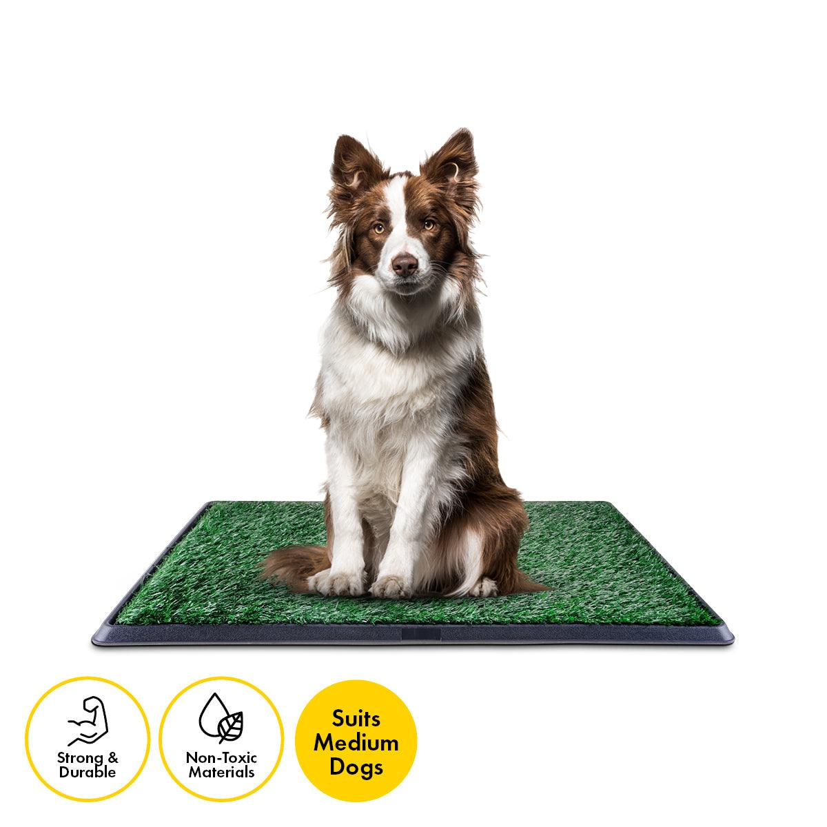 Pet Basic Portable Dog Potty Trainer 3 Layer System Odour Resistant 76 x 50cm - John Cootes
