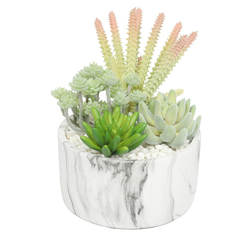 Potted Artificial Succulent Bowl with Marble Pot 20.5cm - John Cootes