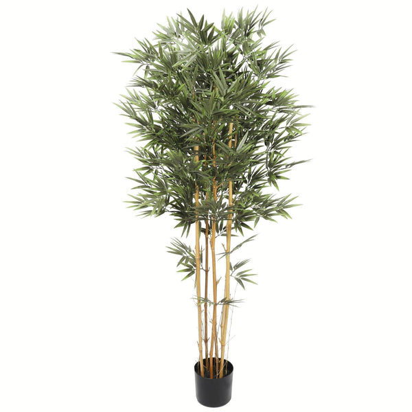 Premium Natural Cane Artificial Bamboo (UV Resistant) 150cm - John Cootes