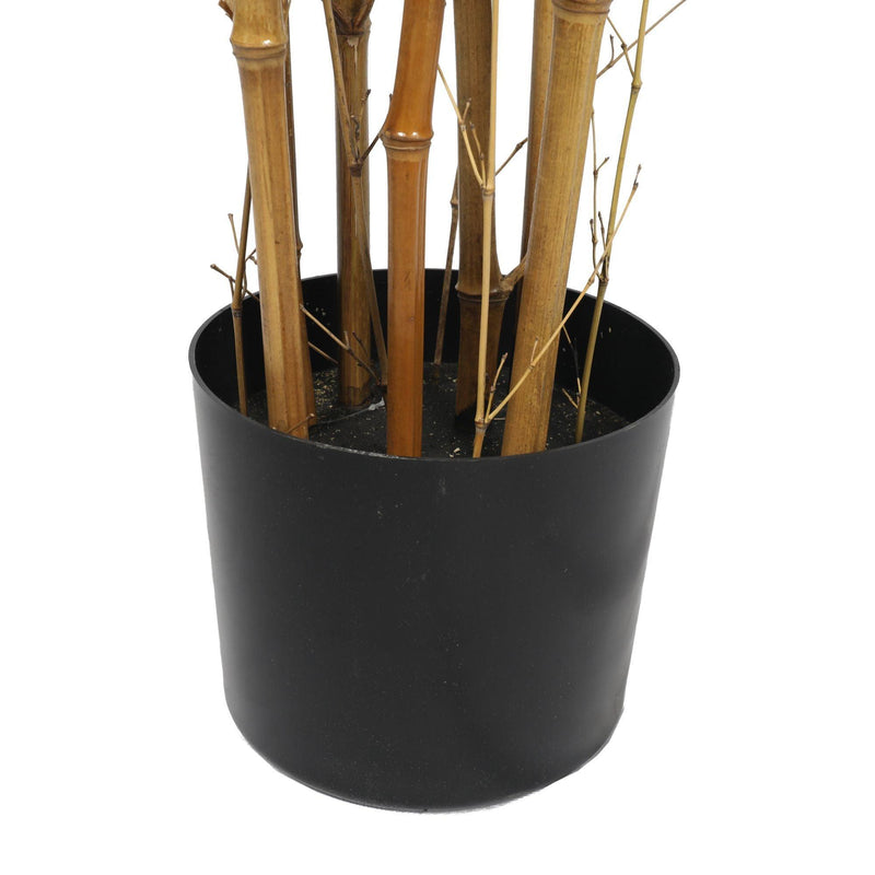 Premium Natural Cane Artificial Bamboo (UV Resistant) 150cm - John Cootes