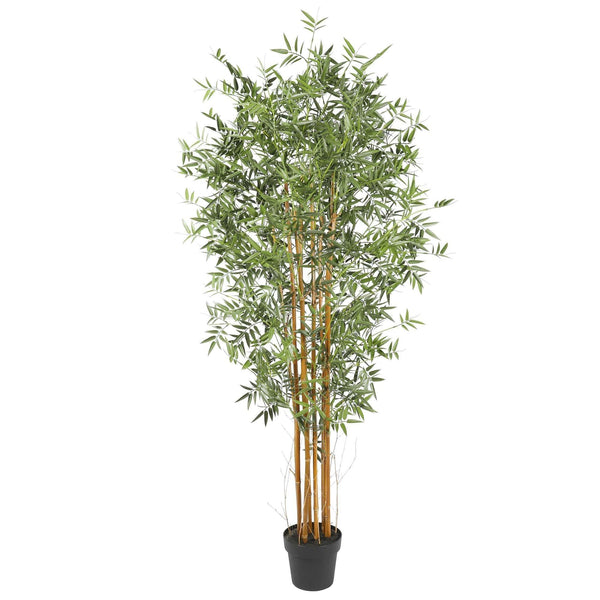 Premium Natural Cane Artificial Bamboo (UV Resistant) 180cm - John Cootes