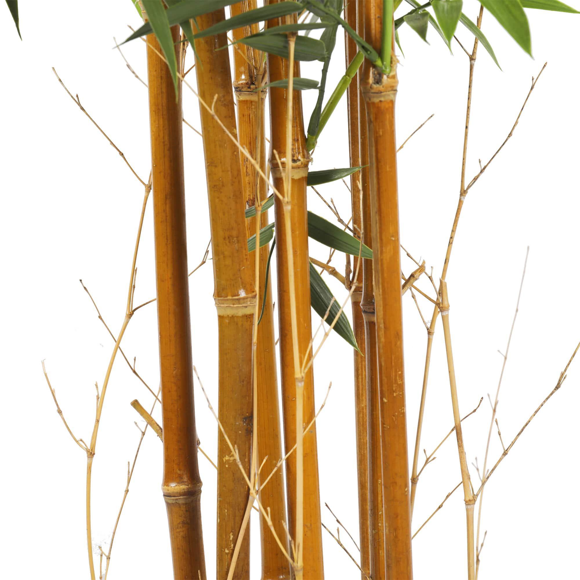 Premium Natural Cane Artificial Bamboo (UV Resistant) 180cm - John Cootes