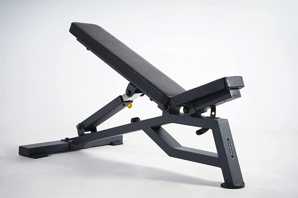 Sardine Sport Heavy Duty Bench Foldable Adjustable Commercial Grade Capacity 450kg(Black) - John Cootes