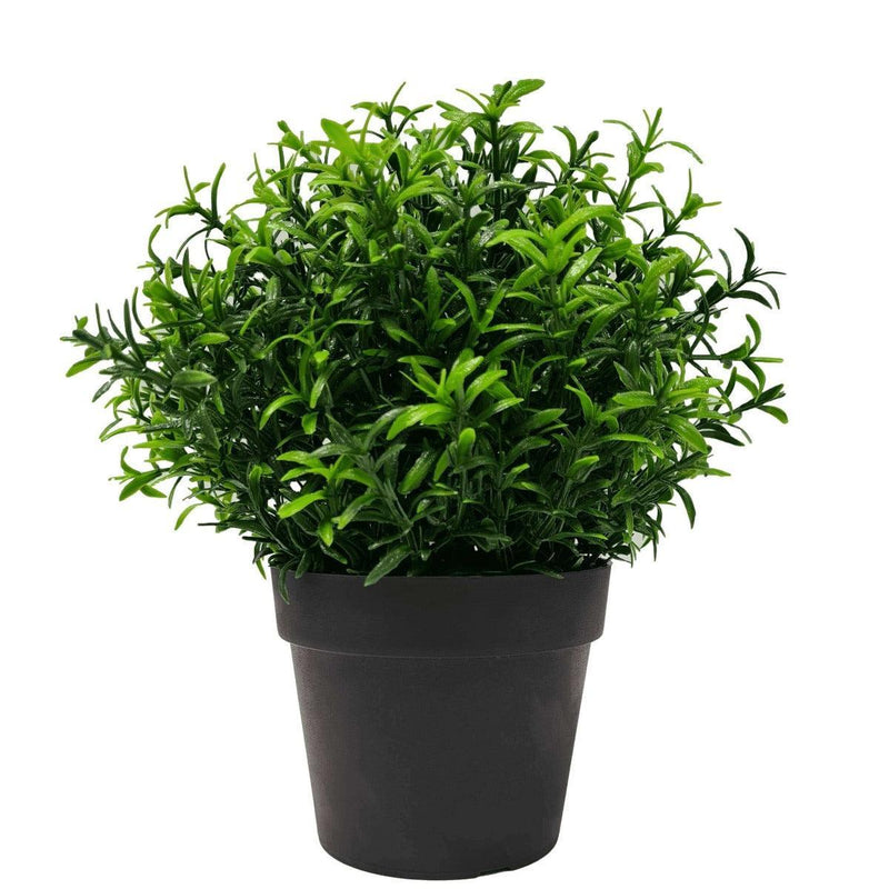 Small Potted Artificial Bright Rosemary Herb Plant UV Resistant 20cm - John Cootes