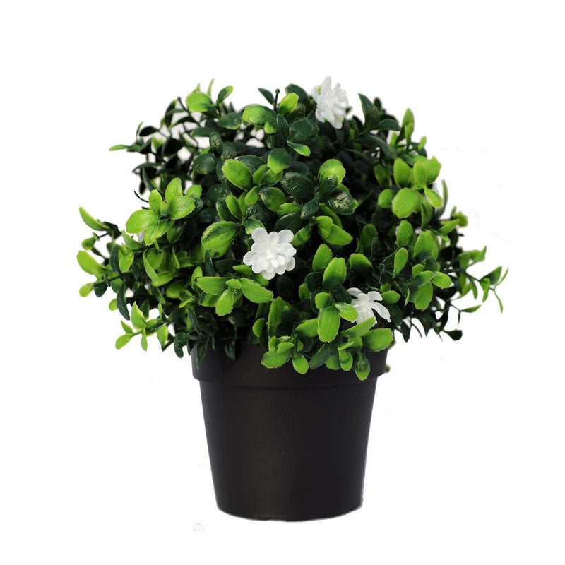 Small Potted Artificial Flowering Boxwood Plant UV Resistant 20cm - John Cootes