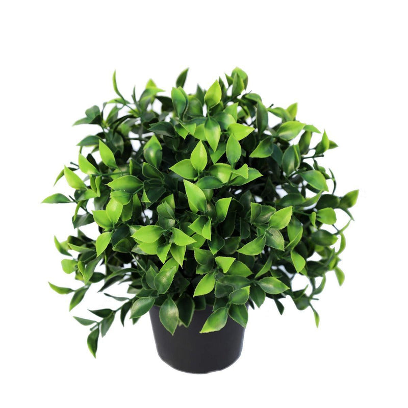 Small Potted Artificial Jasmine Plant UV Resistant 20cm - John Cootes