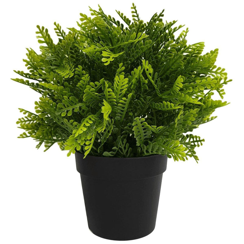 Small Potted Artificial Mimosa Fern UV Resistant 20cm - John Cootes