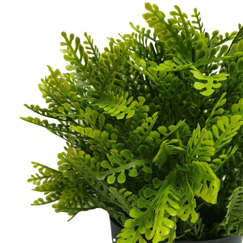 Small Potted Artificial Mimosa Fern UV Resistant 20cm - John Cootes