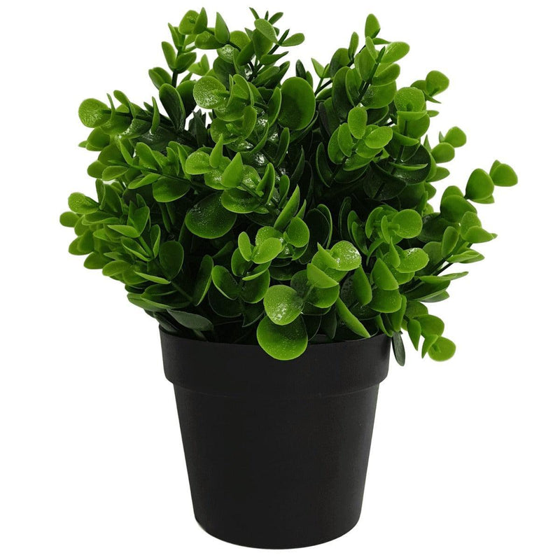 Small Potted Artificial Peperomia Plant UV Resistant 20cm - John Cootes