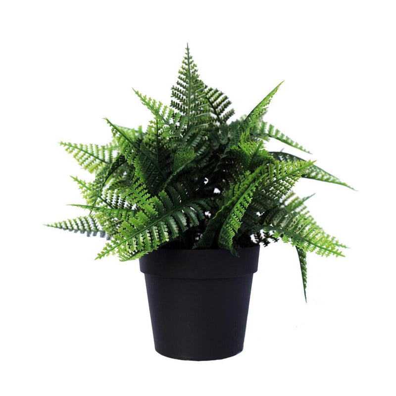 Small Potted Artificial Persa Boston Fern Plant UV Resistant 20cm - John Cootes