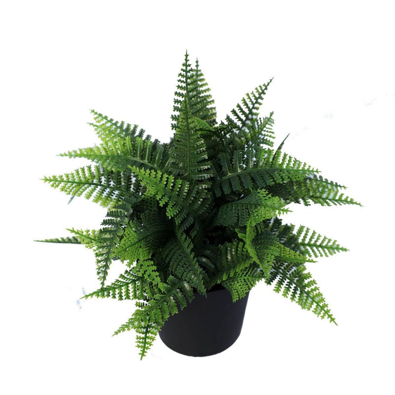 Small Potted Artificial Persa Boston Fern Plant UV Resistant 20cm - John Cootes